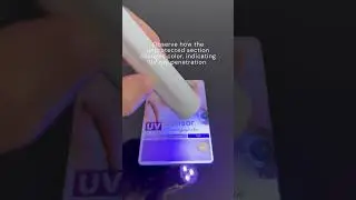 Beaute Hub's Full Spectrum Sun Protection Serum SPF30