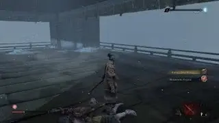 Sekiro: General Ashina