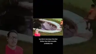 На свете все еще есть ГИГАНТСКИЕ крокодилы.