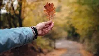 Cannal Chase | Relaxing music