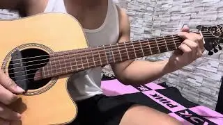 VERITAS Guitar String sound check