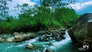 River Sounds for Sleeping Deep Sleep | Calm Flowing Water Nature Ambience