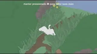 O Ganso fi do raio