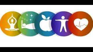 5 Pillars Of Health