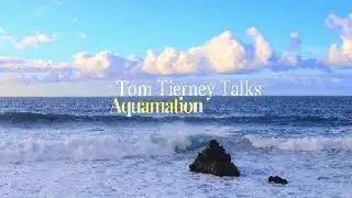Aquamation Fascination