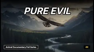 Wild Eagle Documentary - Shocking Secrets of the Wild