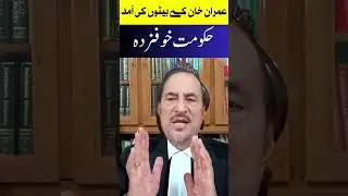 ARRIVAL OF IMRAN KHAN SONS | VISA REJECTED BY GOVT?