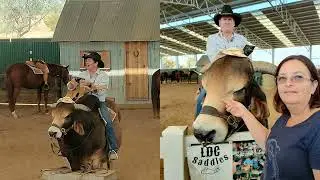 QLD outback stockmen and flyers Eps 19