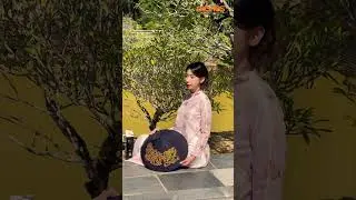 #MARIES Nối D&agrave;i Di Sản Huế - Teaser