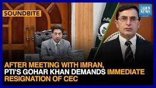 Full Speech: After Meeting With Imran, PTI&rsquo;s Gohar Khan Demands CEC RajaTo Resign| Dawn News English
