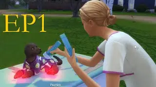 Opening A Vet Clinic! Sims 4 Dog Rescue EP1