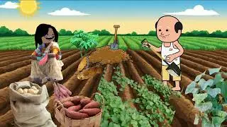মাঘ বিহু ৰ যোগাৰ/কাঠ আলু মিঠা আলু/assamese cartoon/Assamese story/Assamese hadhu