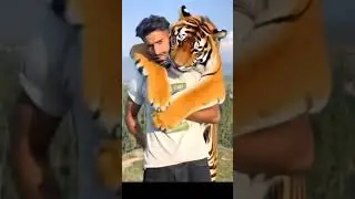 kashmiri comedian athlete Owais dar martialart 🐯 cheeta #kashmir #funnyshorts