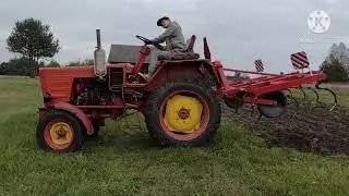 Władimirec T25 w akcji bronowanie i kultywatorowanie