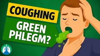 Coughing Up Green Phlegm | What Does It Mean?