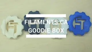 Surprise Box from Filaments.CA