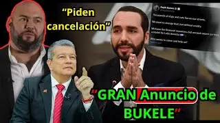 &iexcl;Por fin! Bukele busca acabar con el abandono animal en El Salvador 🇸🇻