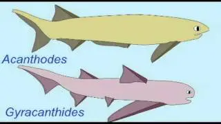 PLJOURNAL3: FISH IN THE MID-PALEOZOIC