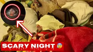 Night camping gone wrong 😭 || Moments || wild encounter.