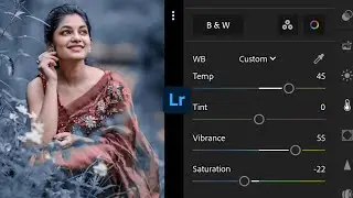 Silver Blue Tone Photo Editing || Photo Editing Lightroom