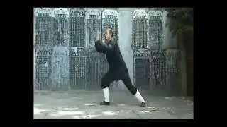 Zhang Sanfeng 13 Taiji Essence Forms