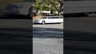 White limo #limousine#car#cars#usa#california#reel#reelsvideo#bayarea#сша#влог#musica