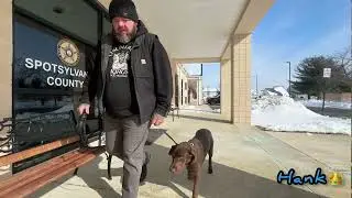 Labrador dog training | puppy training Fredericksburg | dog obedience school | OBKS 