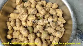 Brush Type Potato Peeling Machine | Potato Peeler | Onion Peeling | Carrot Washing/Vegetable&nbsp;Washing