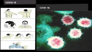 Covid 19 WIKI