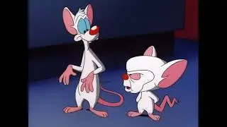 Pinky and the Brain - Pepper Ann Reference Scene