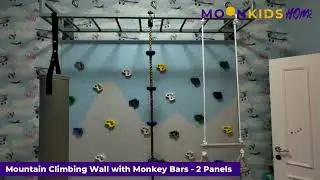 Mountain Climbing Wall with Monkey Bars - 2 Panels