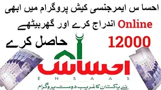 How to Applying Online for Ehsaas Emergency Cash Program