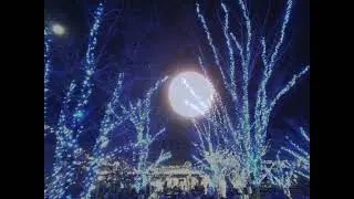 Stone pavement slope　名古屋市音楽プラザ　音楽サロンBGM