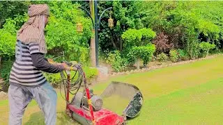 We cut the grass in the plot.#garden #viralvideo #farming @WaqarBhinderVlogs