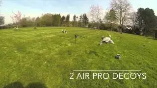 Pigeon Magnet Range from A1 Decoy