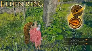 Erdleaf Flower Best Farming Location Elden Ring