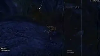 Elder Scrolls  Online Wood elf build