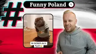 Englishman Reacts to... FUNNY POLISH TIKTOK - Pt.1 🇵🇱