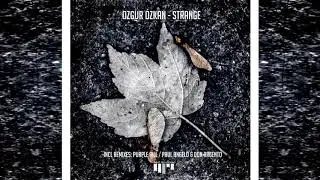 Ozgur Ozkan - Strange (Purple Pill Remix) [Beat Boutique Records]