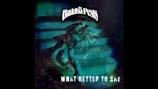 The Buddha Pests   What better to say (Official Music Video)