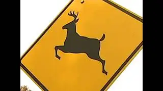 TAPE 2: DEER SAFETY - WELCOME TO GLOAMING COUNTY