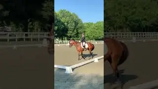 Alexis Trendowski: First level - test 1: Hunt Horse Complex Raleigh, NC