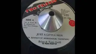 Brian And Tony Gold   Just  A Little Sign