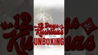 Day 6 | Halfway Through Kushmas