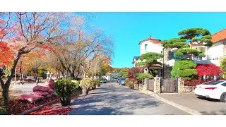 [4K] Walk around peaceful Jeongbalsan High-class Village in Autumn. Ilsan Goyang South Korea 정발산 주택