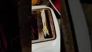 Poor Man's Toaster Quesadilla or Grilled Cheese!