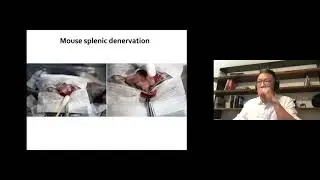 Hai Qi Science Talk: &ldquo;Brain control of adaptive immunity&rdquo;