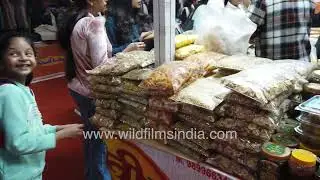 Trade Fair Stall Tour Featuring Framed Artworks and Colorful Toys at Pragati Maidan New Delhi