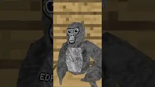 A WHAT!!!! #shorts #gorillatag #vr #oculus #funny #school #skit #fake
