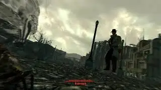 Fallout 3-Mysterious Stranger sticks their crotch in my face due to Radroach glitch..